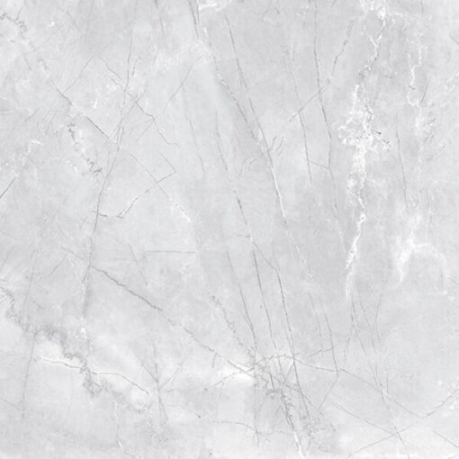 Πλακάκι PILPUS GRIS CLAIR RETT 59.5 X 59.5 cm